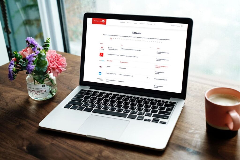 Уровень поддержки кириллических доменных имен вырос