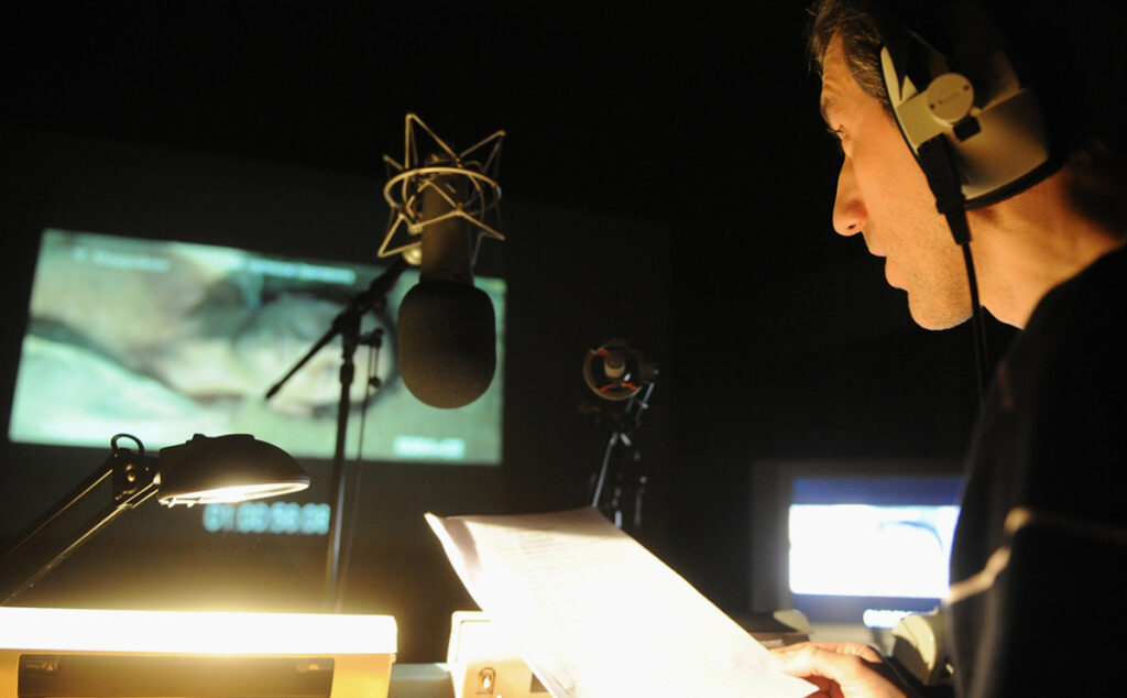 Red Head Sound требует от кинотеатров отчислений за дубляж Red Head Sound требует от кинотеатров отчислений за дубляж