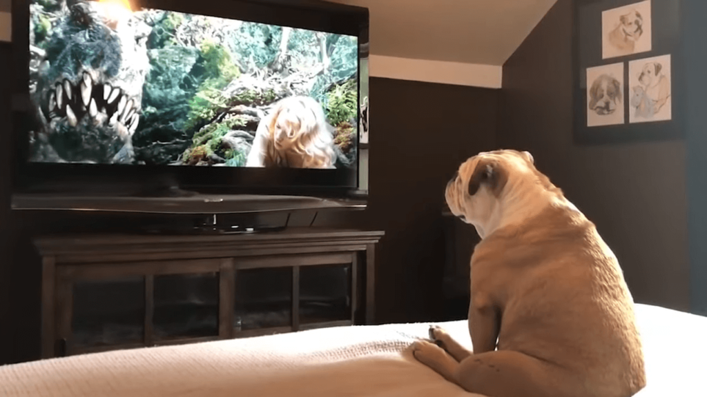 Телевизоры Sony будут блокировать пиратский контент Телевизоры Sony будут блокировать пиратский контент