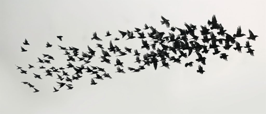 PS Store в России последние новости: магазин готовят к открытию