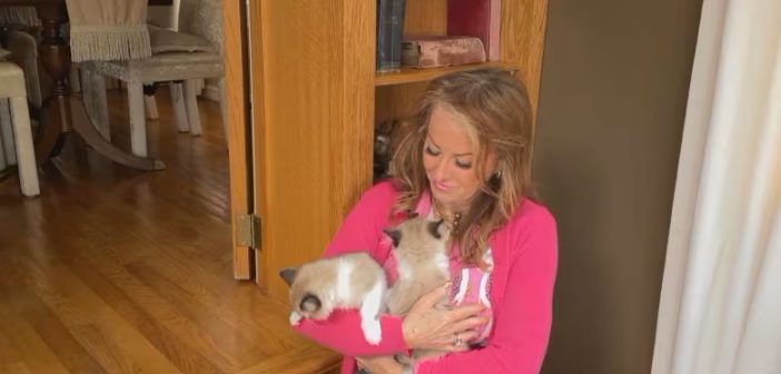 Женщина получила за $50 000 двух клонов своего умершего кота