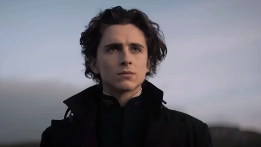 Тимоти Шаламе подписал эксклюзивный контракт с Warner Bros.