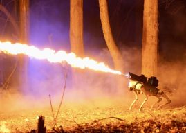 Робот-пес, стреляющий огнем, теперь доступен за $10 000