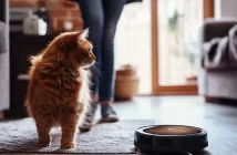 Робот-пылесос: как выбрать лучшую модель в 2025 году