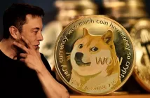 DOGE выходит на государственный уровень: официальный сайт агентства Маска привёл к росту Dogecoin