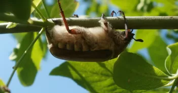 Майские праздники 2025: россиянам добавили рекордное количество выходных