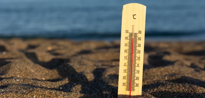 Жара до 33 градусов накроет Россию через неделю