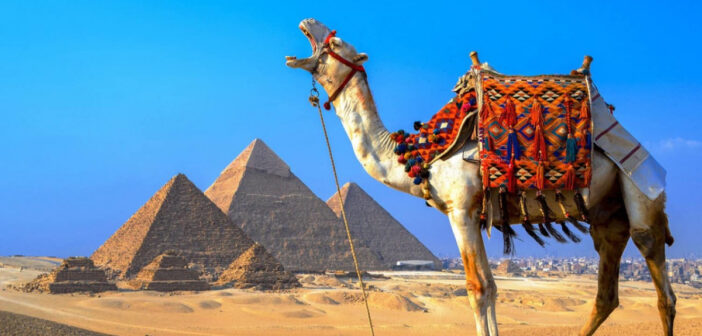 Египет заблокировал телефоны российских туристов: платите 38% или оставайтесь без связи