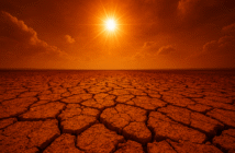 Центральную Россию накроет аномальная жара до 39 градусов