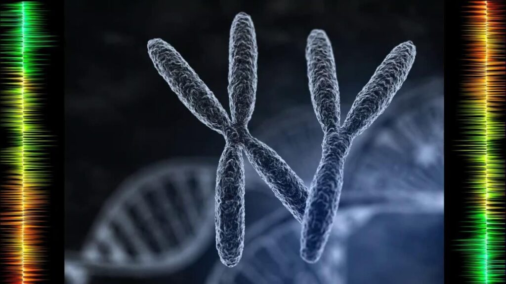 Японские ученые впервые победили синдром Дауна в лаборатории