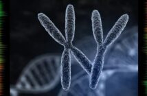 Японские ученые впервые победили синдром Дауна в лаборатории