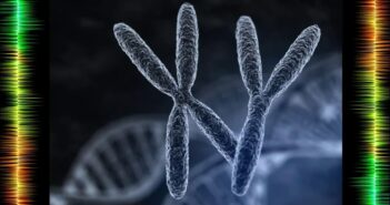 Японские ученые впервые победили синдром Дауна в лаборатории