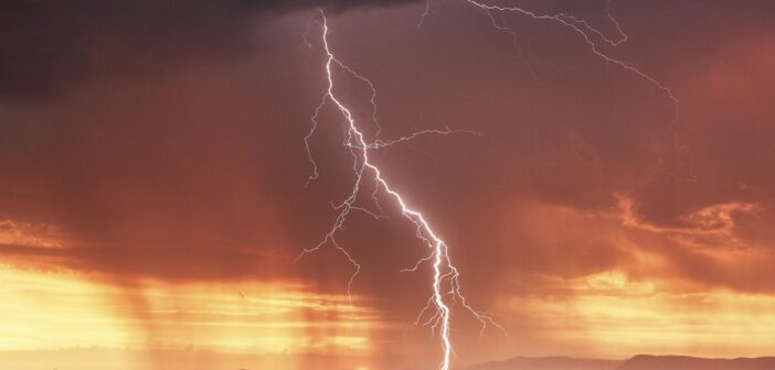 Новый российский мессенджер заменит кошелек и паспорт