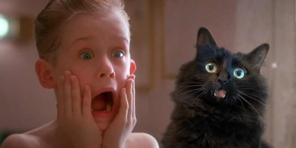 Госдума готовит запрет на содержание животных сверх числа детей в семье