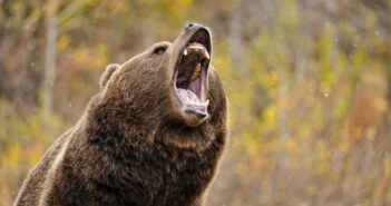 Врачи назвали главный признак нового вируса в России: проверьте свой голос