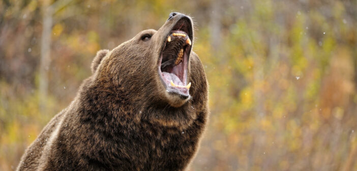 Врачи назвали главный признак нового вируса в России: проверьте свой голос