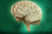 30 лет исследований доказали, что мозг живет час после смерти