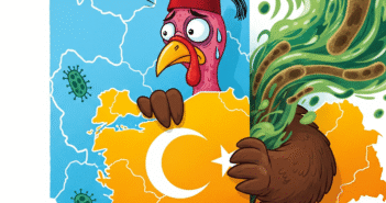 Турция скрывает эпидемию смертельной болезни: российские туристы в опасности