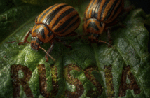 Медведев предупредил о вражеских животных: кого боится Кремль из фауны