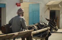 Россиян могут освободить от автошкол, старая система обучения водителей провалилась