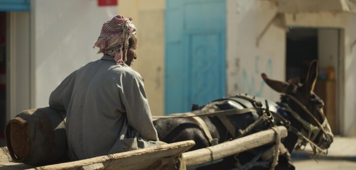 Россиян могут освободить от автошкол, старая система обучения водителей провалилась