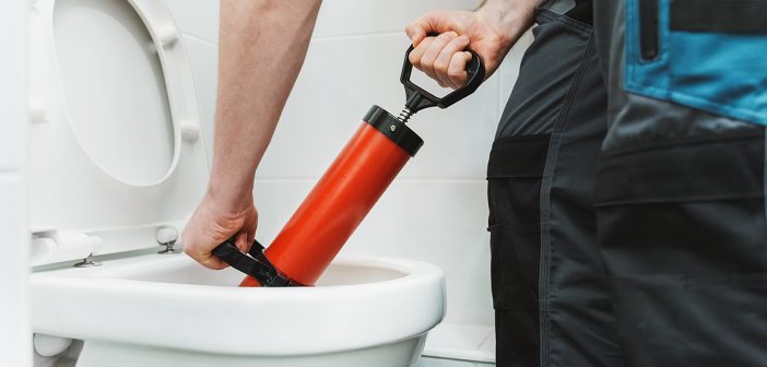 Россия тонет в засорах: «Госуслуги» научат, как пользоваться унитазом