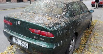 Цвет вашего автомобиля привлекает птиц: исследование назвало главные мишени