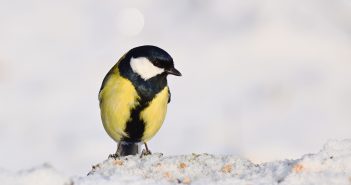 Россию ждет аномально холодная зима