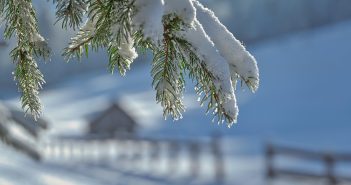 Зима 2026 в России: Гидрометцентр предупредил о возвращении холодов