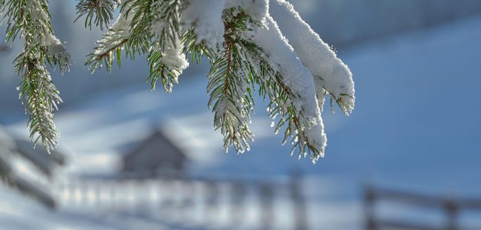 Зима 2026 в России: Гидрометцентр предупредил о возвращении холодов