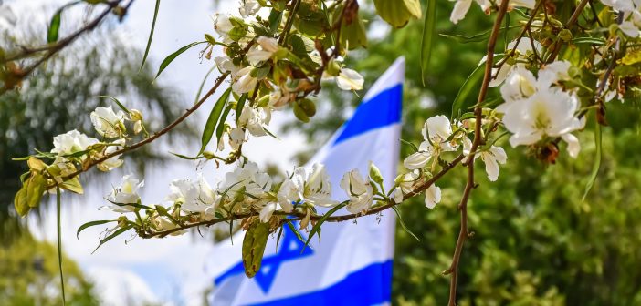 Cкрытый израильский софт в смартфонах Samsung вызвал международный скандал