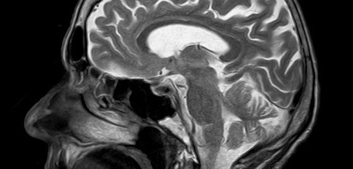 Ученые через ультразвук научились отключать тягу к курению