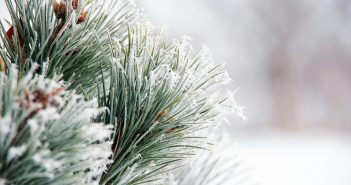 Холоднее прошлогодней, но теплее нормы: какой будет предстоящая зима в России