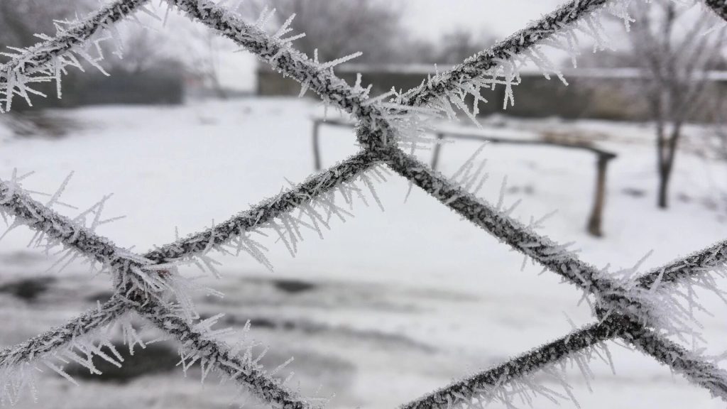 Синоптики предупреждают о «нервной» зиме и аномальном январе