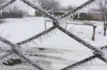 Синоптики предупреждают о «нервной» зиме и аномальном январе