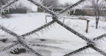 Синоптики предупреждают о «нервной» зиме и аномальном январе