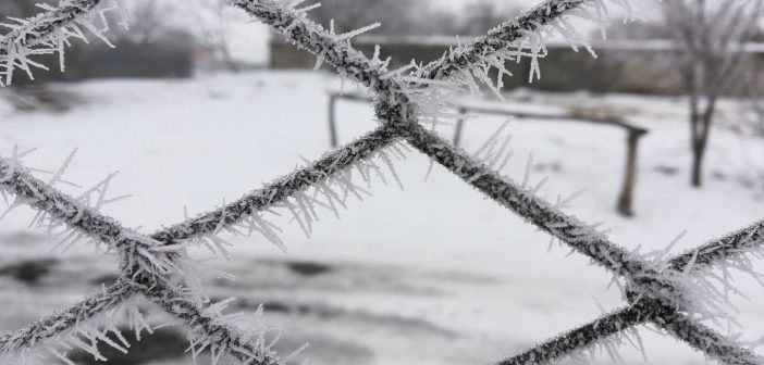 Синоптики предупреждают о «нервной» зиме и аномальном январе