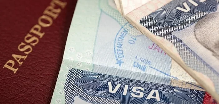 Страны вступили в битву за таланты: какие визы открывают быстрый путь к ВНЖ и гражданству