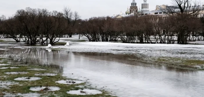 Аномальное тепло и дожди вместо снега: прогноз Вильфанда для Москвы и регионов на декабрь