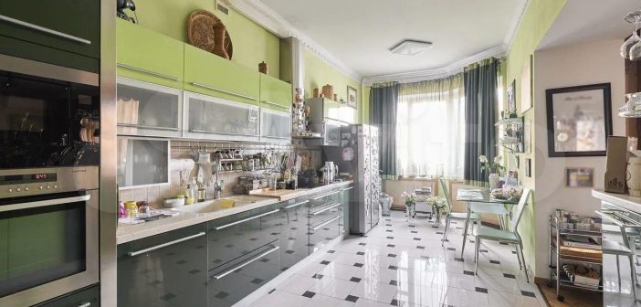 Верховный суд РФ пересмотрит дело о квартире Ларисы Долиной