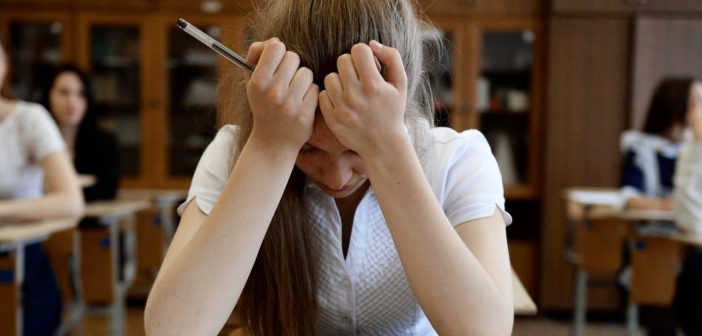 Кремль отреагировал на жалобы школьников из-за ситуации с Roblox