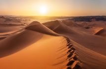 Тело «друга Дурова» нашли в пустыне ОАЭ, подтвердилось убийство криптобизнесмена Романа Новака