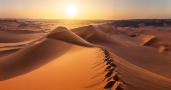 Тело «друга Дурова» нашли в пустыне ОАЭ, подтвердилось убийство криптобизнесмена Романа Новака