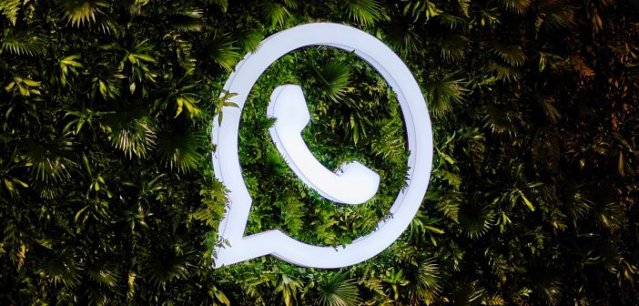 Эксперты выяснили, что WhatsApp может превратить смартфон в шпионский маячок и выжечь батарею