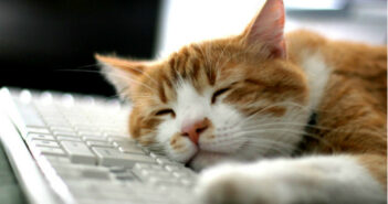 Ученые выяснили, почему в 14:06 мозг перестает работать