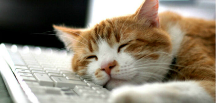 Ученые выяснили, почему в 14:06 мозг перестает работать