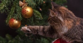 Когда россиян ждут ближайшие длинные выходные после новогоднего марафона