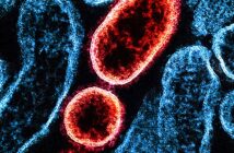 Китайский препарат от COVID-19 показал эффективность против смертельного вируса Нипах