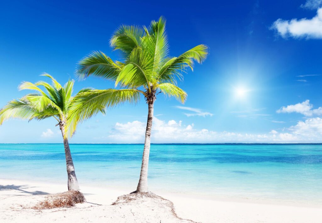 МВД раскрыло новую схему кражи денег через сервисы совместных поездок МВД раскрыло новую схему кражи денег через сервисы совместных поездок