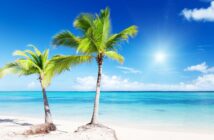 МВД раскрыло новую схему кражи денег через сервисы совместных поездок